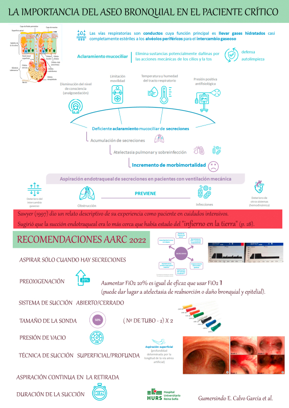 P.E.1. La importancia del aseo bronquial en el paciente crítico.