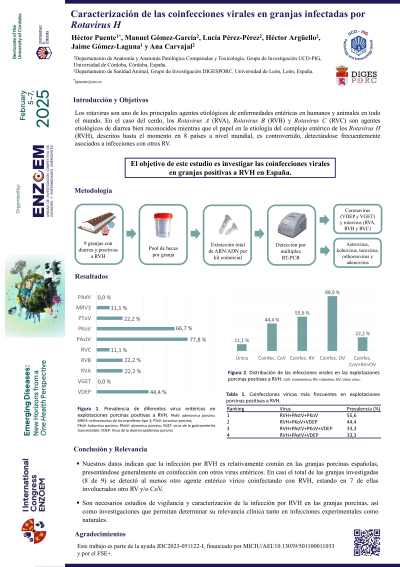 P.05.-Poster_Enzoem2024_HPuente-definitiva