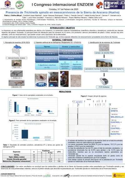 P.01 Poster-Enzoem-Trichinella