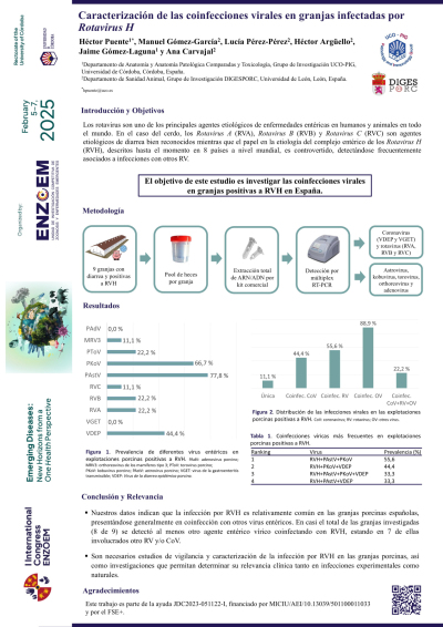 P.02 Poster_Enzoem2024_HPuente-definitiva